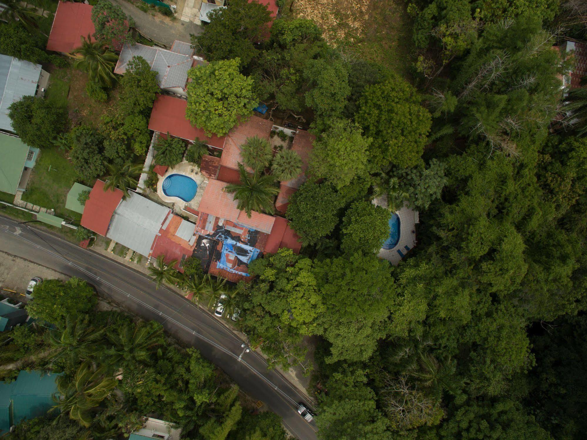 Hotel Mono Azul Quepos Εξωτερικό φωτογραφία